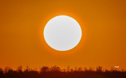 Куда делись все солнечные пятна?