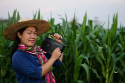 Диапазон 19м (15000-15900 кГц)